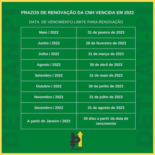 Detran-PI divulga novo prazo para renovação da Carteira de Habilitação(Imagem:Divulgação)