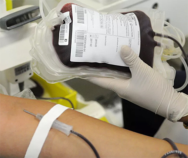 STF julga doação de sangue por homossexuais nesta quinta-feira