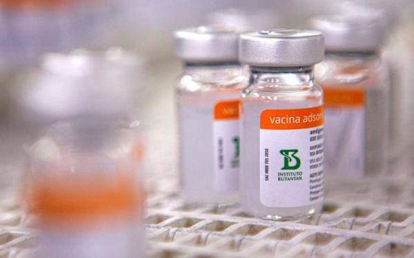 Conselho estima mais de 100 cidades do Piauí sem CoronaVac para 2ª dose
