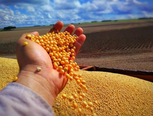 Em 2023, o Piauí terá o sétimo ano seguido de recorde na produção de grãos