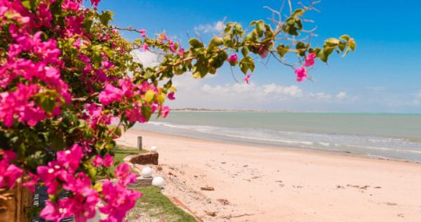 Sesc abre inscrições para viagens com destinos no Piauí, Ceará, Rio Grande do Norte e São Paulo