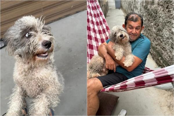Idoso que usava cartaz pendurado no pescoço para procurar cachorro reencontra pet após 6 meses no PI