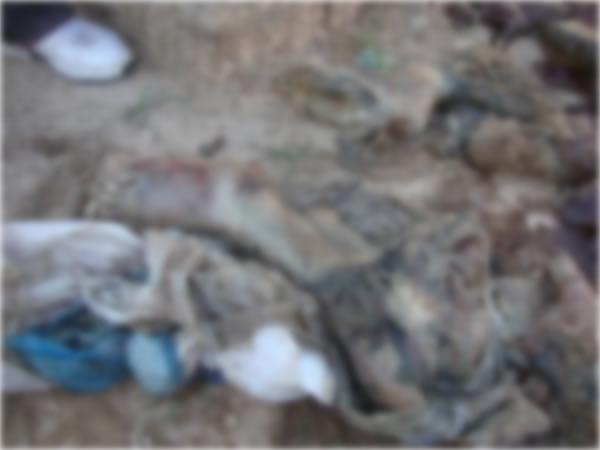 Restos mortais s&atilde;o encontrados no cemit&eacute;rio de Bar&atilde;o de Graja&uacute;.(Imagem:FlorianoNews)