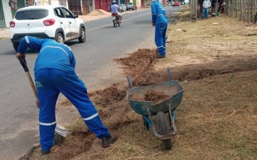 Prefeitura de Teresina e Equatorial Piauí lançam Campanha de conservação das árvores