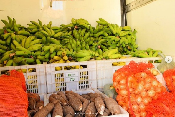 Prefeitura de Floriano realiza distribuição de merenda escolar produzida pela agricultura familiar
