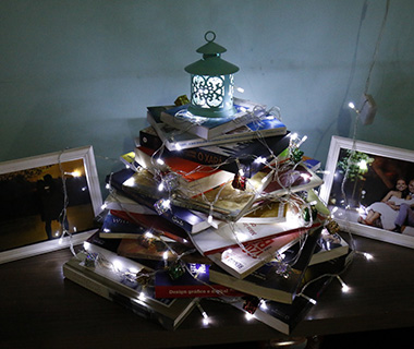 Piauienses apostam na criatividade e fogem da árvore de Natal tradicional