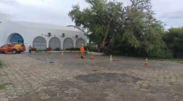 Árvore centenária é cortada pelo Corpo de Bombeiros no pátio de igreja em Floriano