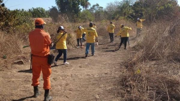 Semarh identifica 130 focos de inc&ecirc;ndios e intensifica a&ccedil;&otilde;es de combate ao fogo.(Imagem:Divulga&ccedil;&atilde;o)