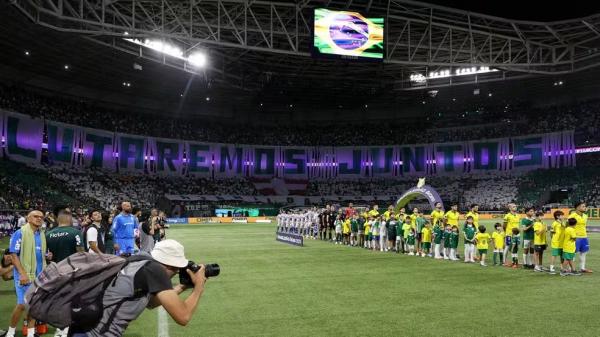 Torcida Palmeiras x Cruzeiro(Imagem:Cesar Greco/Palmeiras)