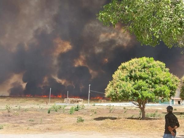 Inc&ecirc;ndio destr&oacute;i 7 mil hectares e amea&ccedil;a Parque da Serra das Confus&otilde;es.(Imagem:Reprodu&ccedil;&atilde;o)