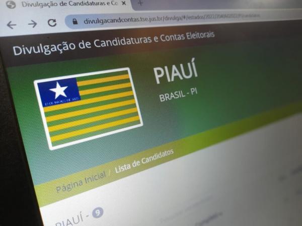 Piauí possui quase 300 mil eleitores filiados a partidos políticos