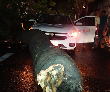 Temporal derruba árvore em táxi; ventos foram de 83km/h na capital