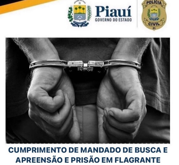 Polícia Civil de Floriano realiza apreensão de arma de fogo em cumprimento a mandado judicial