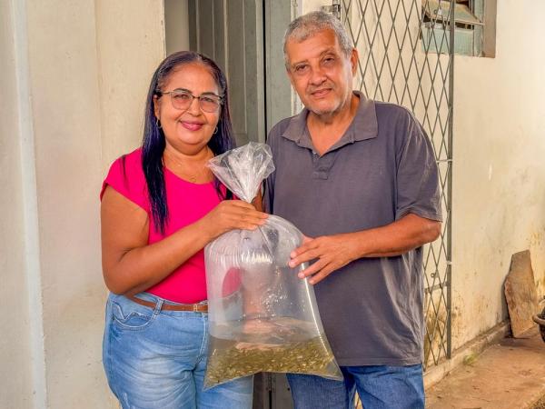 Secretaria da Agricultura Familiar distribuiu mais de 2,5 milhões de alevinos e ação reforça apoio à piscicultura no Piauí(Imagem:Geirlys Silva)