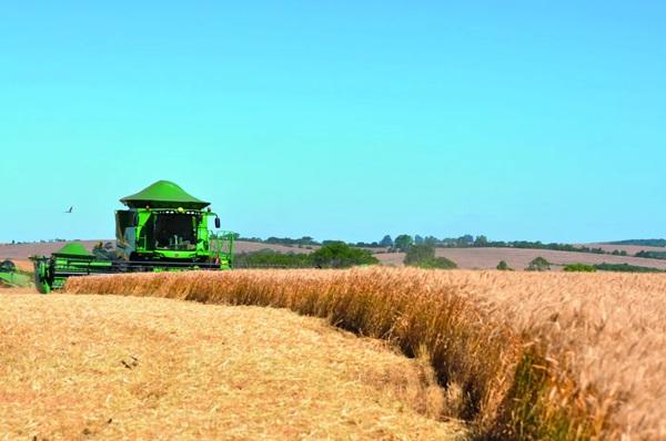 Exportações do agronegócio brasileiro batem recorde e atingem US$ 37,44 bilhões