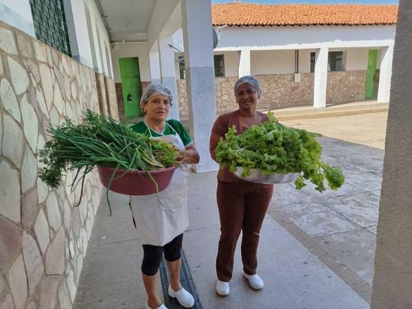 Estudantes da rede estadual transformam horta escolar em exemplo de sustentabilidade e aprendizado em Valen&ccedil;a(Imagem:Ascom Seduc)