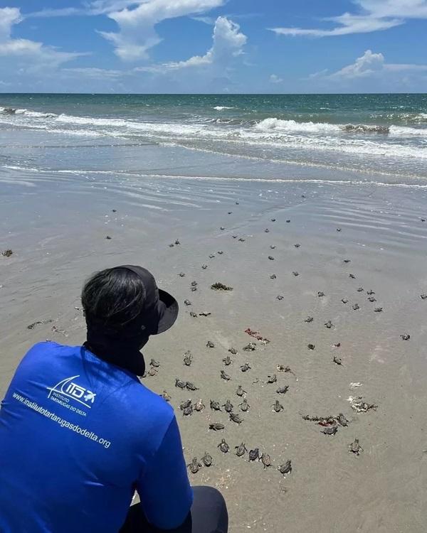 Nascimento de filhotes de tartarugas encanta banhistas no litoral do Piauí