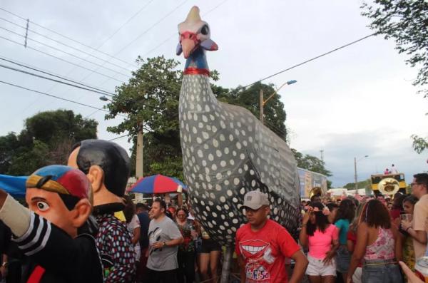  Capote da Madrugada, maior filho do Galo da Madrugada de Recife, segundo a organiza&ccedil;&atilde;o.(Imagem:Rafaela /G1 PI )