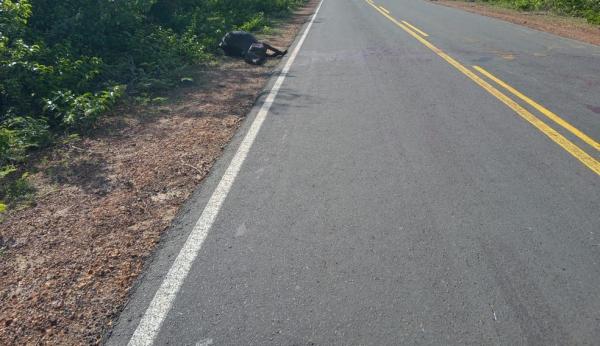 Animais na pista provocam acidentes no Piauí e deixam dois mortos no fim de semana
