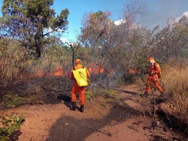 Piauí tem alta de focos e passa a ocupar 2º lugar no ranking de queimadas no Brasil.(Imagem:Corpo de Bombeiros )