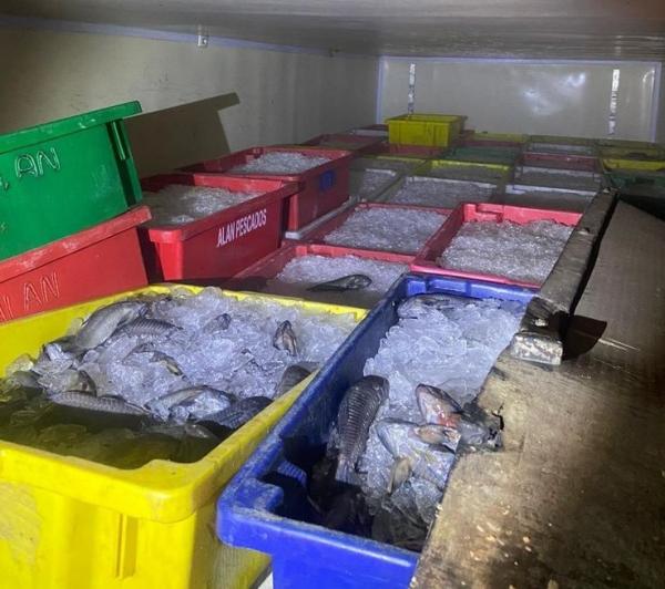 Polícia Militar apreende 8 toneladas de peixes transportados ilegalmente no Piauí
