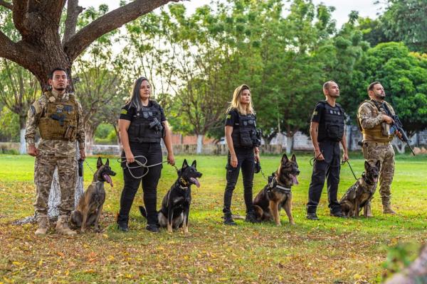 Núcleo de Operações com Cães da SSP-PI divulga balanço de 2024