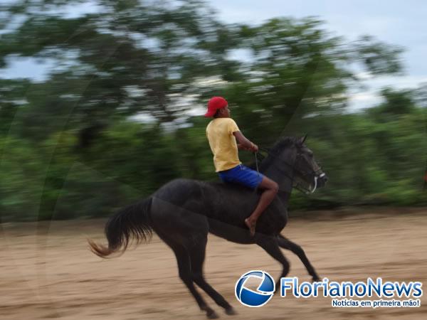 Vaquejada natalina agitou a tarde de s&aacute;bado em Bar&atilde;o de Graja&uacute;.(Imagem:FlorianoNews)