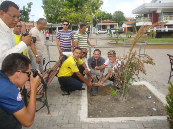 PLANTIO DE UMA &Aacute;RVORES - CORREIOS E A PRESERVA&Ccedil;&Atilde;O DO MEIO AMBIENTE(Imagem:REDA&Ccedil;&Atilde;O)