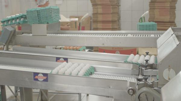 Piauí já pode vender produtos de origem animal para todo o país