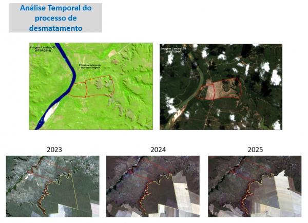 Desmatamento recua quase 60% no Piau&iacute;, maior redu&ccedil;&atilde;o entre estados com cerrado(Imagem:Divulga&ccedil;&atilde;o)
