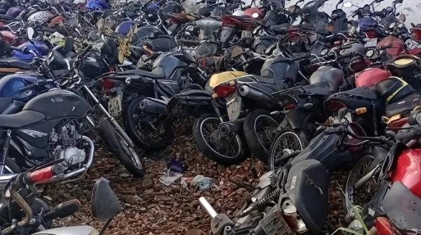 POLINTER prendeu 219 criminosos e restituiu cerca de 1.500 ve&iacute;culos em 2022(Imagem:Divulga&ccedil;&atilde;o)