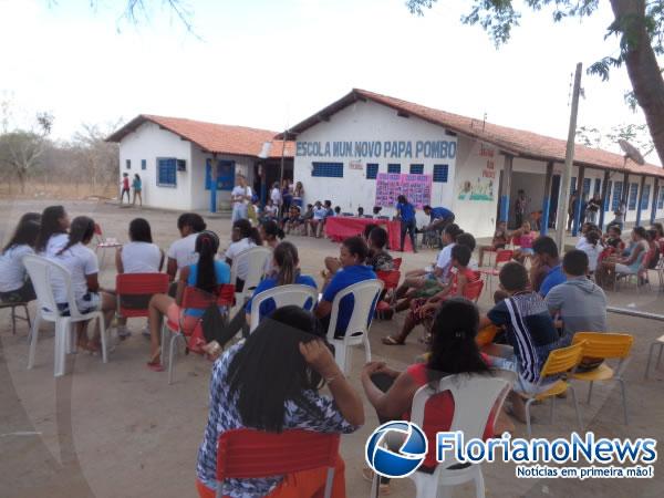 Cras promoveu a&ccedil;&atilde;o social na localidade Novo Papo Pombo.(Imagem:FlorianoNews)