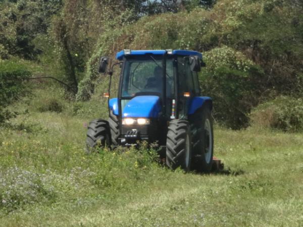 Operadores de máquinas agrícolas de Floriano passam por capacitação