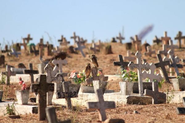 Piauí volta a bater recorde de mortes pelo coronavírus; 20 óbitos em 24h