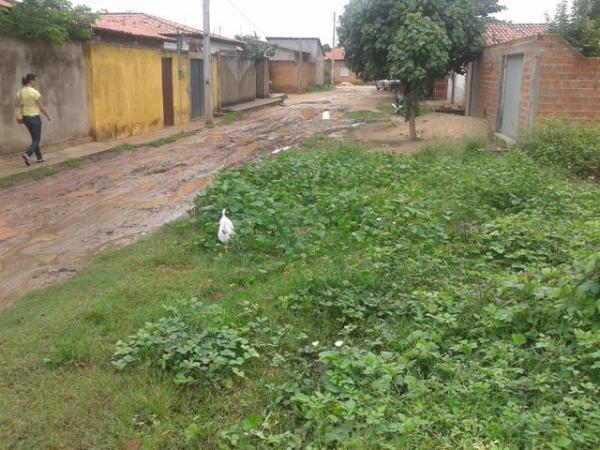Morador do bairro Princesa do Sul volta a denunciar situa&ccedil;&atilde;o prec&aacute;ria da Rua Dr. Paulo Martins.(Imagem:Robson Pires Borges)