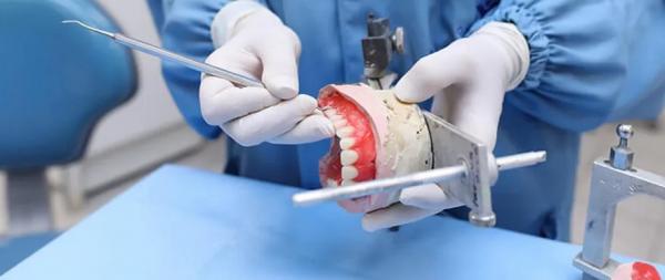 Medicina veterinária e odontologia estão entre profissões promissoras na área da saúde