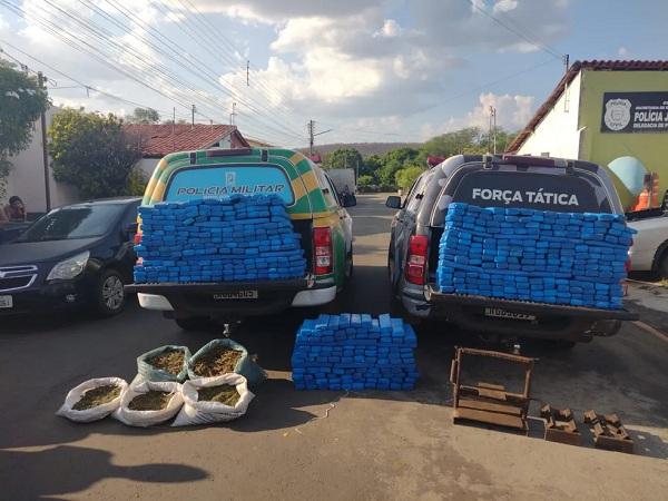 PM encontra centenas de tabletes de maconha enterrados em sítio no Piauí e homem é preso