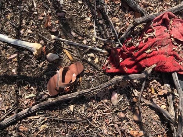 Ossada humana é encontrada por caçador na zona rural de Patos do Piauí