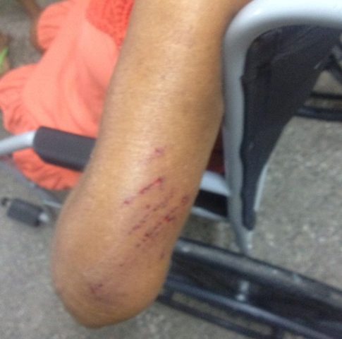 Idosa é agredida pelo próprio filho em Parnaíba