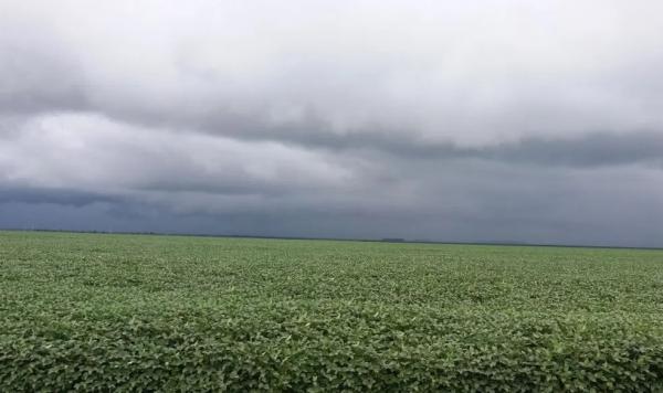 Piauí tem dois alertas de chuvas intensas em 13 cidades do Sul do estado; veja lista