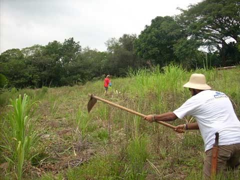 Semiárido do PI tem primeiras chuvas, mas agricultores estão sem sementes