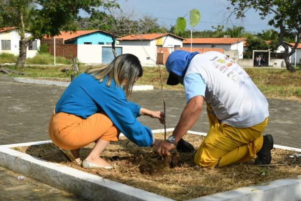 SEMAN promove plantio de mudas na praça do Conjunto Zé Pereira