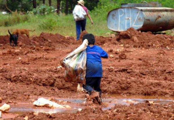 Agricultura "emprega" 34 mil menores de 14 anos no Piauí