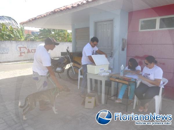 C&atilde;es e gatos s&atilde;o vacinados em Bar&atilde;o de Graja&uacute;.(Imagem:FlorianoNews)