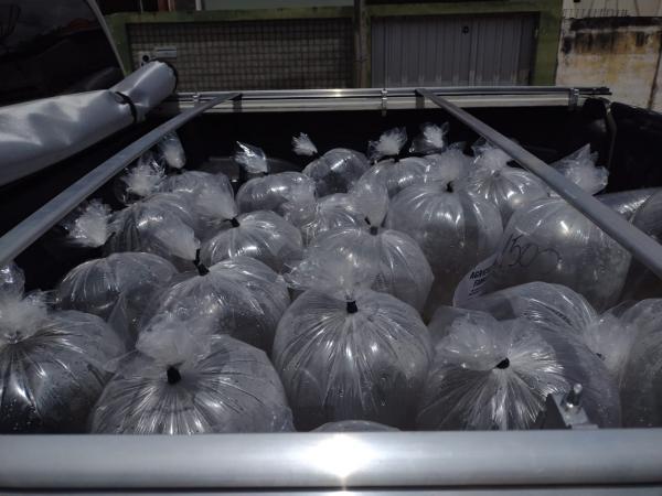 Governo do Estado distribui alevinos para produtores do STTR de Floriano
