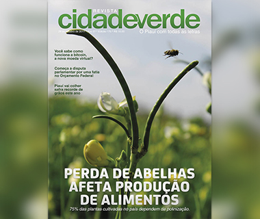 RCV destaca a perda de abelhas no PI que ameaça a produção de alimentos