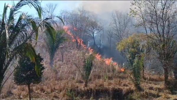 Curto-circuito em poste inicia incêndio em área de vegetação seca em Angical do Piauí