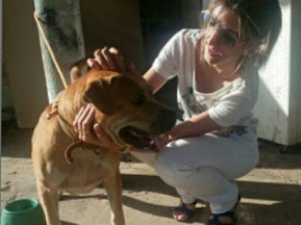 ONG resgata cachorros abandonados após morte do dono em Teresina