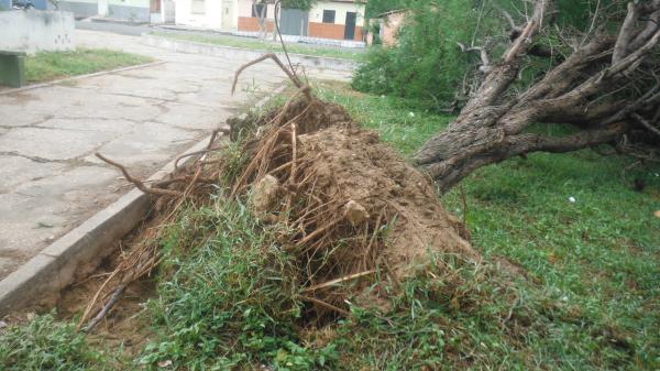 Forte ventania arrancou &aacute;rvores e placas em Floriano.(Imagem:FlorianoNews)