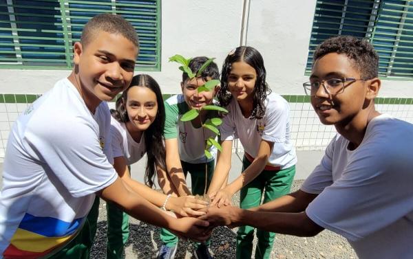 Programa j&aacute; distribuiu mais de 2,5 mil mudas em a&ccedil;&otilde;es de educa&ccedil;&atilde;o ambiental nas escolas do Piau&iacute;(Imagem:Divulga&ccedil;&atilde;o)